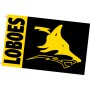 Custom Double Sided Pole Flag